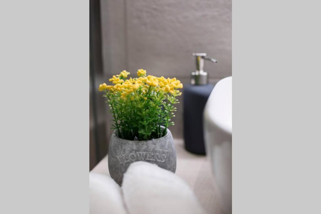 City Center Modern Renovated Apartment Athen Eksteriør bilde